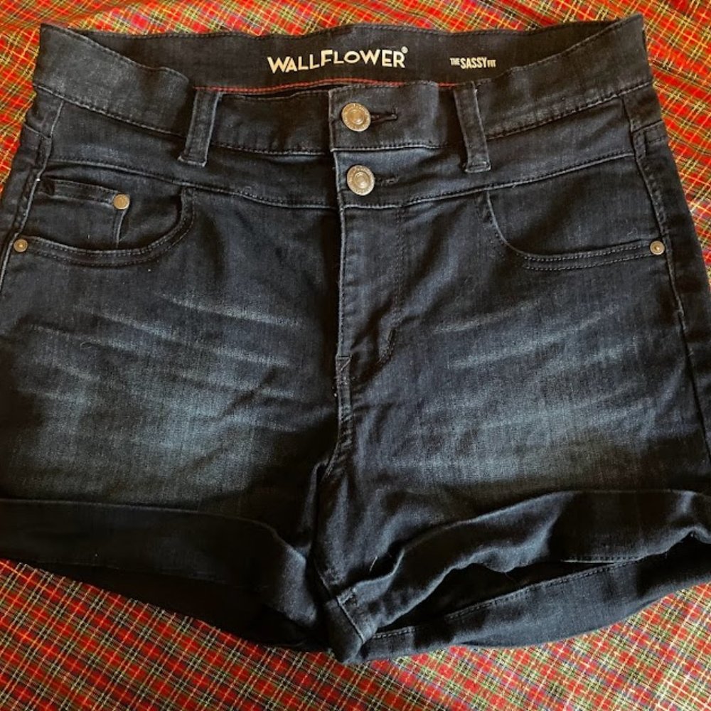 Wallflower Denim Shorts